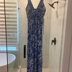 Lilly Pulitzer Blue and White Maxi Dress